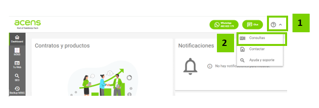 Abrir consulta.PNG