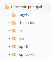 Carpetas_directorio_principal.PNG